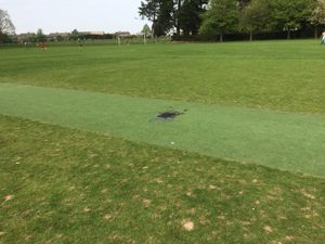 The barbecue was lit right in the middle of the astroturf strip