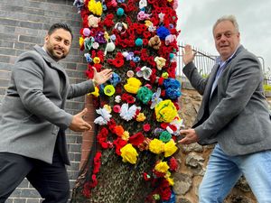 Supporting image for story: Popular Brierley Hill in Bloom to spruce up town once more