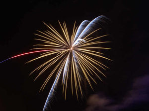 Supporting image for story: Shropshire pet owner calls for firework sales ban