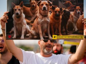 Supporting image for story: Thousands of Turks protest against controversial law to remove stray dogs
