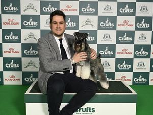 Supporting image for story: Crufts 2026: Utility dogs group winners announced and sixth finalist for Best in Show