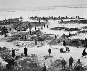 Supporting image for story: Writer warns trail hunting ban part of wider vegan attack on animals - your letters, plus a February 1947 Walsall coal rush throwback