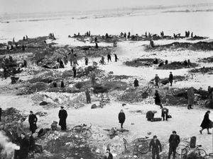 Supporting image for story: Writer warns trail hunting ban part of wider vegan attack on animals - your letters, plus a February 1947 Walsall coal rush throwback