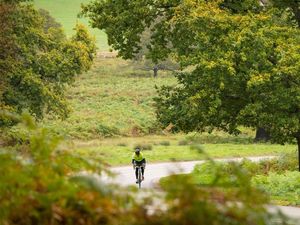 Supporting image for story: Living in greener neighbourhoods linked to slower mental decline