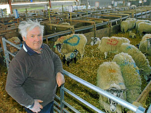 Supporting image for story: Lambs dying of cold in bitter Shropshire spring weather