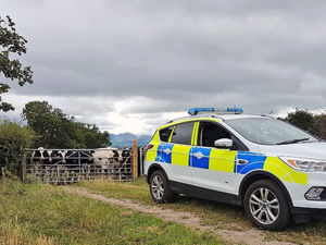Supporting image for story: Latest Dyfed Powys Police problem programme to focus on rural crime