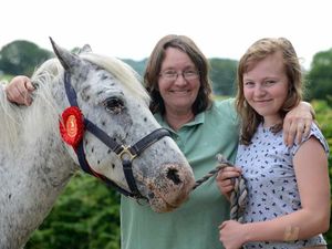 Supporting image for story: Riding fall leads to charity horse show