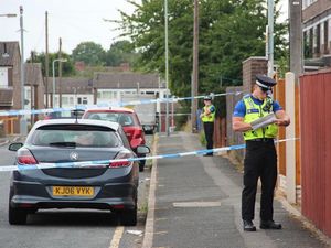 Supporting image for story