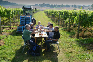 Halfpenny Green Vineyards