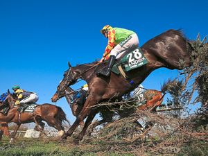 Supporting image for story: Saint Are’s last tilt at National