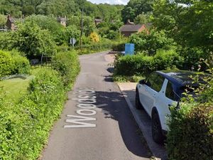 Supporting image for story: New parking area for disabled woman would ‘harm’ Ironbridge Gorge World Heritage Site, planners rule