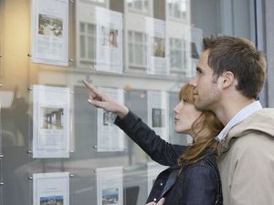 Supporting image for story: Shropshire Star comment: Homes are vital, but at what cost?