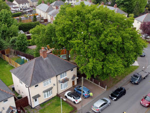 Supporting image for story: Wolverhampton tenant asking for help with oak trees towering over his house