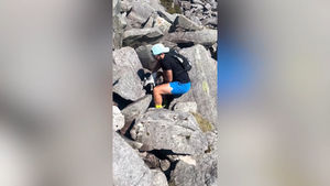 Matt Parke, 36, his girlfriend and Nicole Wassell, 29, were hiking in Snowdonia National Park when they heard a crying sound while scrambling on Rhinog Fawr. 