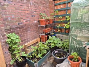 Growing initiatives led by community groups have also taken place across Walsall.