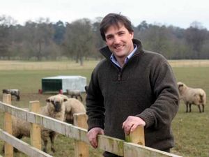 Supporting image for story: Resurgence of Shropshire sheep