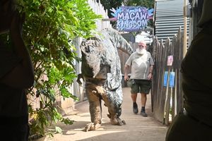 The zoo even has a T Rex