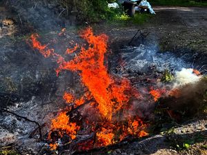 Supporting image for story: Pictured: Huge blaze involving felled trees in Market Drayton sparks warning as temperatures soar