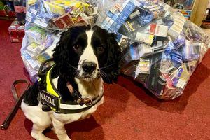 Highly trained sniffer dogs were on hand to help