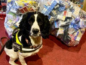 Supporting image for story: Bags of illegal tobacco found, hidden compartments uncovered and dodgy Walsall traders sniffed out in £24k crackdown