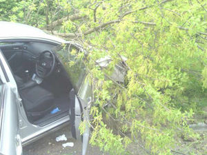 Supporting image for story: Man hurt as car flips over and hits tree