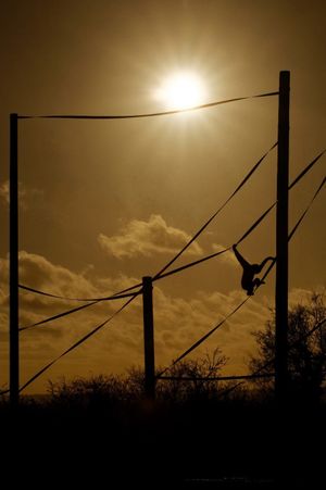 Twycross at Twilight 