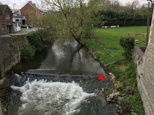 Supporting image for story: Plans to build fish pass for River Teme weir are withdrawn