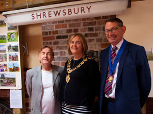 Supporting image for story: Heritage Trust gets grant from council