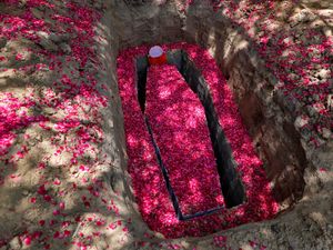 Supporting image for story: Dip in coronavirus cases in Mumbai offers hope to India