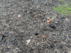 Pics by LDR Rachel Alexander
Permission for use for LDR partners