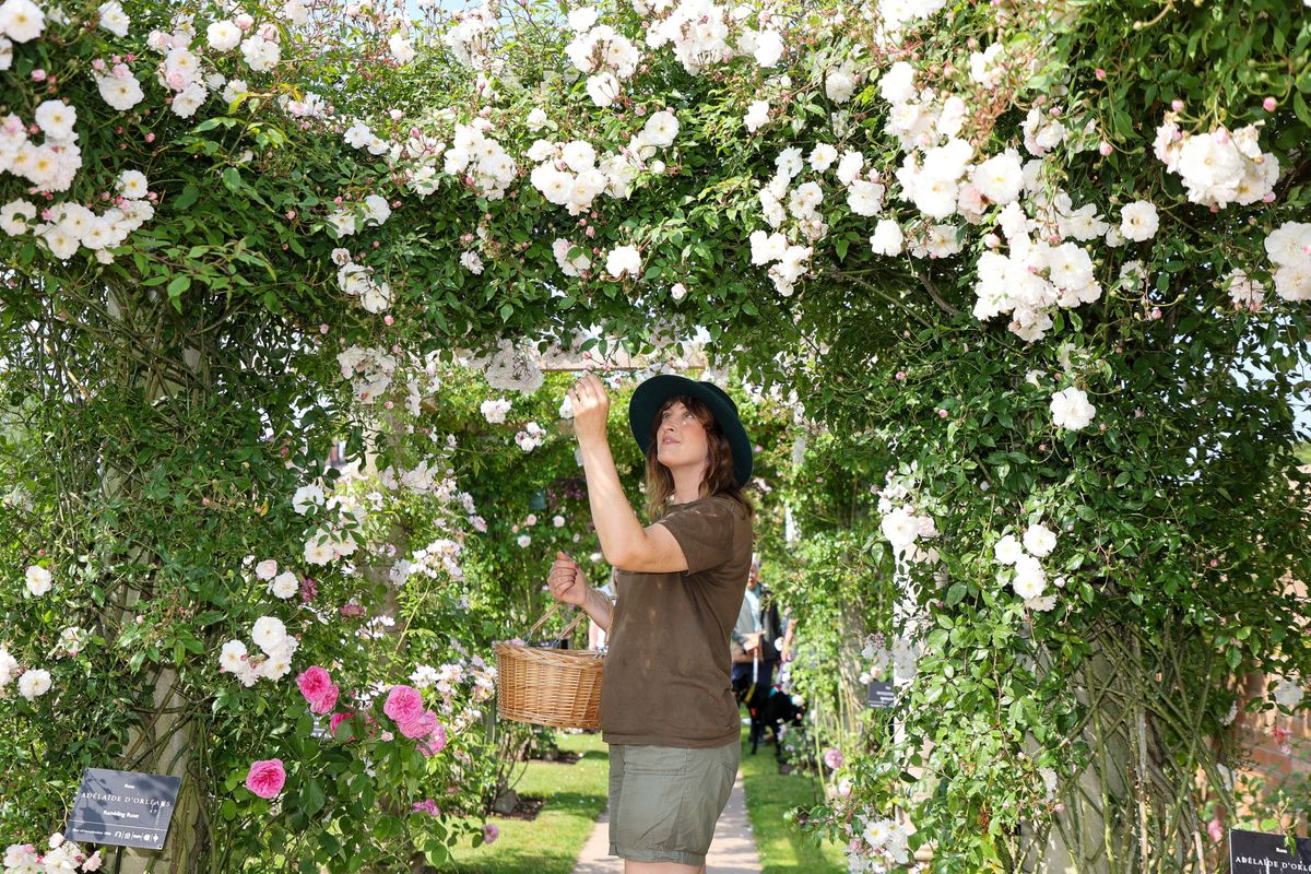 The one thing gardeners should do in February, according to a David Austin Roses expert