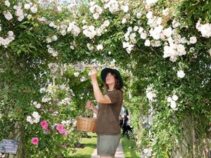 Supporting image for story: The one thing gardeners should do in February, according to a David Austin Roses expert
