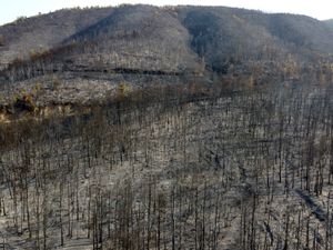 Supporting image for story: West Midlands firefighters working 'as hard as possible' to help bring Greek wildfires under control