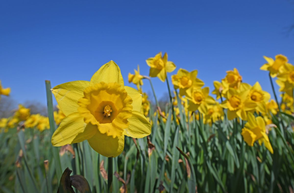 British Summer Time begins this weekend &ndash; here&rsquo;s when the clocks change