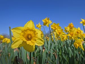 Supporting image for story: British Summer Time begins this weekend – here’s when the clocks change