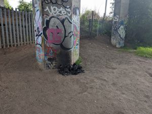 Supporting image for story: Appeal launched after dead puppies found along with body of dog set on fire