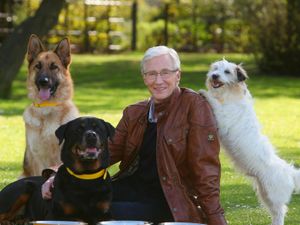 Supporting image for story: Battersea dogs home names veterinary hospital in honour of late Paul O’Grady