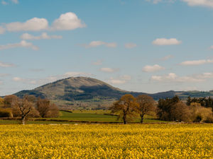 Supporting image for story: Firefighters rescue person from steep Wrekin incline