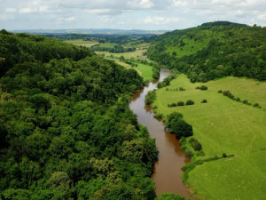 Supporting image for story: Legal action seeking compensation of people affected by local river pollution is to be extended to cover Welsh Water.