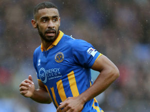 Supporting image for story: Joy for Shrewsbury Town striker Stefan Payne as the goals fly in