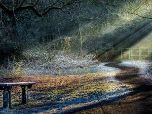 Supporting image for story: A picture perfect homecoming: This beats the Philippines, says Nick