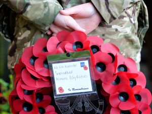 Supporting image for story: Telford buildings to be lit up to remember the fallen