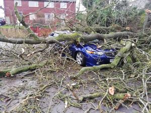 Supporting image for story: Storm Ciara: Trees down and roads flooded as Shropshire hit hard