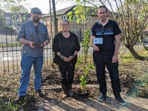 Supporting image for story: New tree planted in Dudley to mark King's Coronation