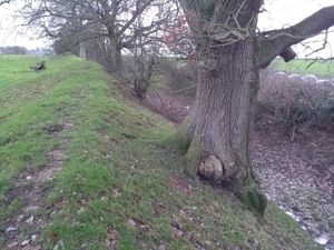 Offa's Dyke, near Trefonen