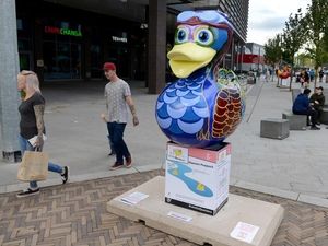 Supporting image for story: Opening bids in for Telford's Let's Go Quackers ducks