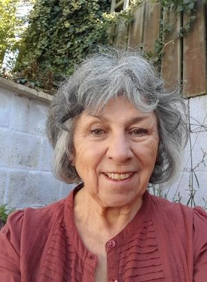 Councillor Diane Lyle, the Mayor of Ludlow. Picture: Ludlow Town Council