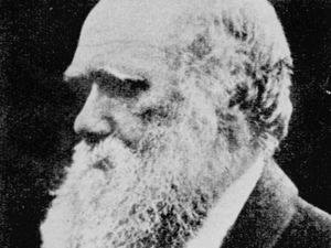 Supporting image for story: Vast personal library of Charles Darwin uncovered for the first time