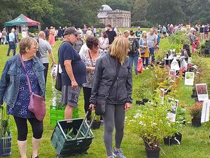 Supporting image for story: Popular autumn plant fair returns to Weston Park