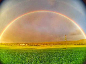 Supporting image for story: Star reader Shane snaps rainbow at the double